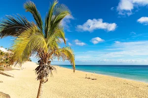Canary Islands weather
