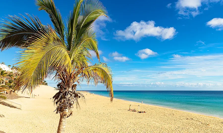 Canary Islands weather